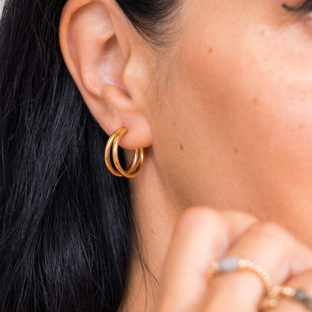 Earrings 1619