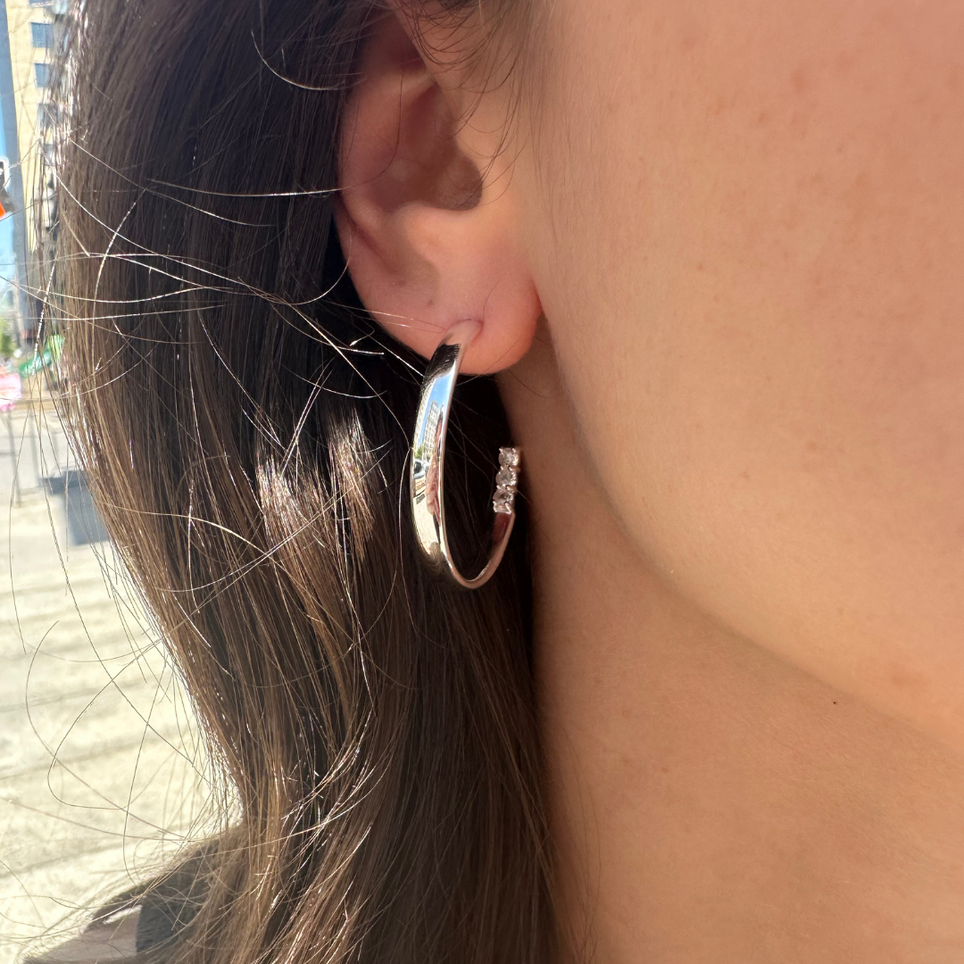 Earrings 1508