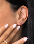 BO1597 Earrings - Muse Collection
