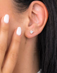 BO1597 Earrings - Muse Collection