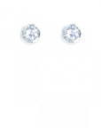 Boucles d'oreilles BO 1453