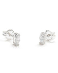 BO1594 Earrings - Haute Joy Collection