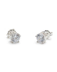 BO1596 Earrings - Haute Joy Collection