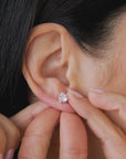BO1596 Earrings - Haute Joy Collection