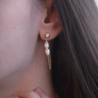 Earrings 1569