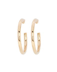 Earrings 1494