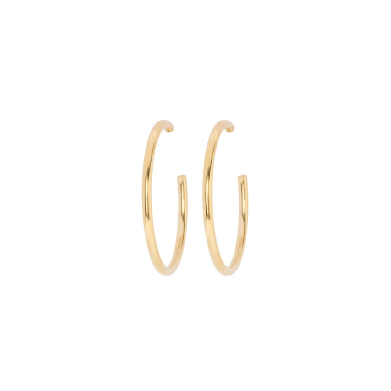 Earrings 1495