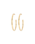 Earrings 1495