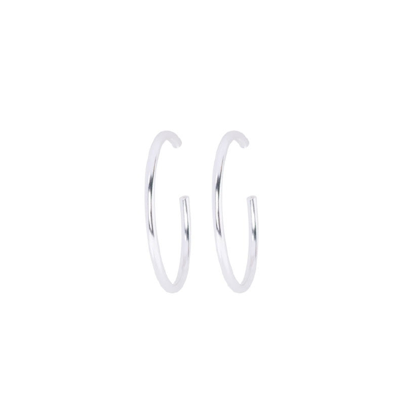 Earrings 1495
