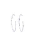 Earrings 1495