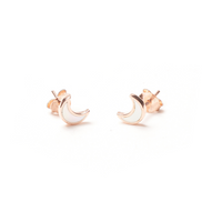 Earrings 1503