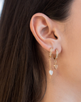 Earrings 1570