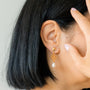 Boucles d'oreilles BO1608 