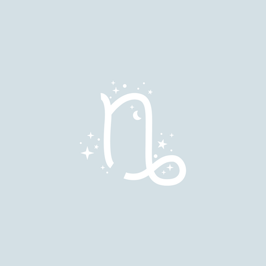 CAPRICORNE - 22/12 AU 19/01