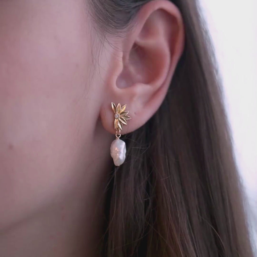 Earrings 1567