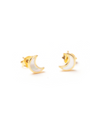 Boucles d'oreilles 1503