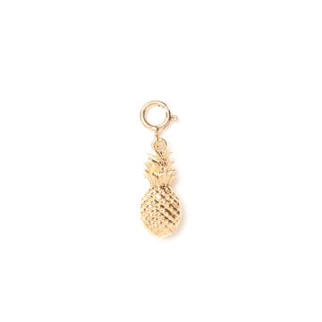 Pineapple Charm