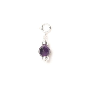 Birthstone Charm - February