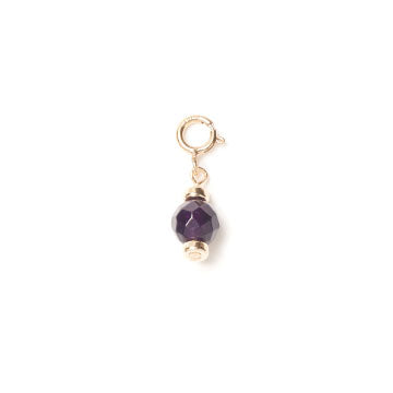 Birthstone Charm - February