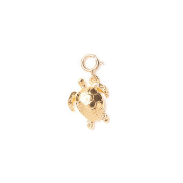 Turtle Charm